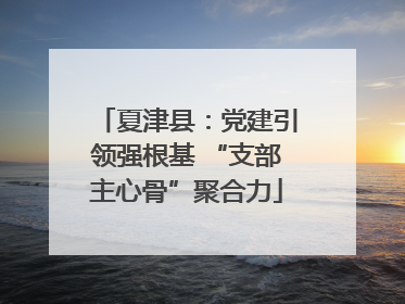 夏津县：党建引领强根基 “支部主心骨”聚合力