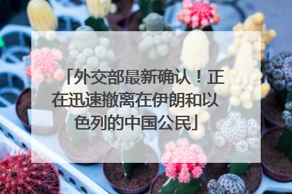 外交部最新确认！正在迅速撤离在伊朗和以色列的中国公民