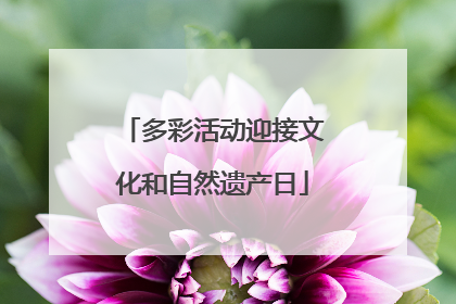多彩活动迎接文化和自然遗产日
