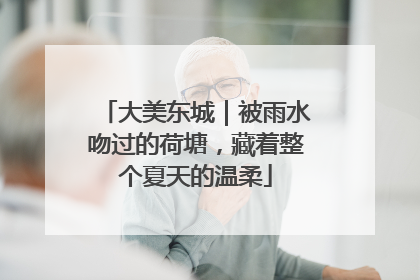 大美东城｜被雨水吻过的荷塘，藏着整个夏天的温柔