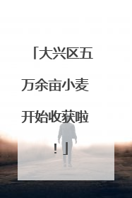 大兴区五万余亩小麦开始收获啦！