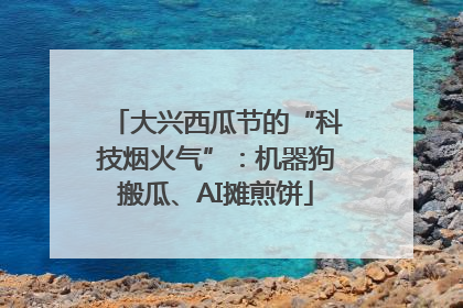 大兴西瓜节的“科技烟火气”：机器狗搬瓜、AI摊煎饼