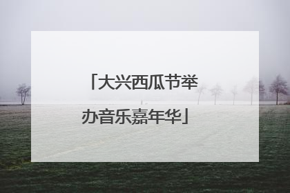 大兴西瓜节举办音乐嘉年华