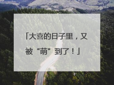 大喜的日子里，又被“萌”到了！