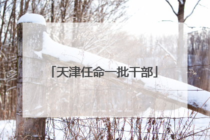 天津任命一批干部