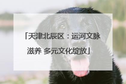 天津北辰区：运河文脉滋养 多元文化绽放