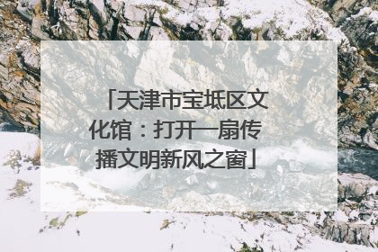 天津市宝坻区文化馆：打开一扇传播文明新风之窗