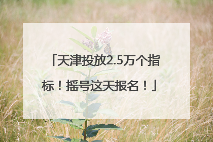 天津投放2.5万个指标！摇号这天报名！