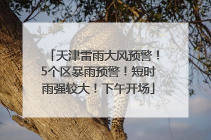 天津雷雨大风预警！5个区暴雨预警！短时雨强较大！下午开场