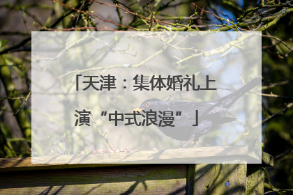 天津：集体婚礼上演“中式浪漫”