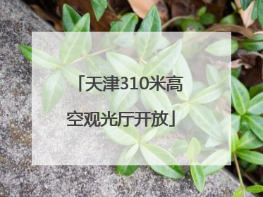 天津310米高空观光厅开放