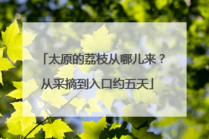 太原的荔枝从哪儿来？从采摘到入口约五天