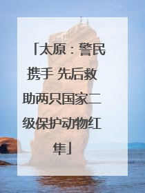 太原：警民携手 先后救助两只国家二级保护动物红隼
