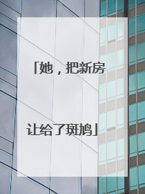 她，把新房让给了斑鸠