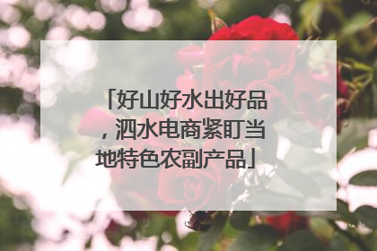 好山好水出好品，泗水电商紧盯当地特色农副产品