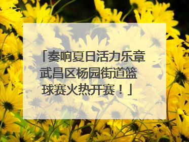 奏响夏日活力乐章 武昌区杨园街道篮球赛火热开赛！