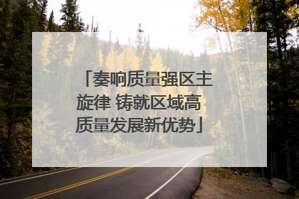奏响质量强区主旋律 铸就区域高质量发展新优势