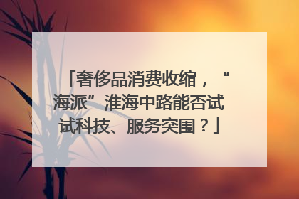 奢侈品消费收缩，“海派”淮海中路能否试试科技、服务突围？
