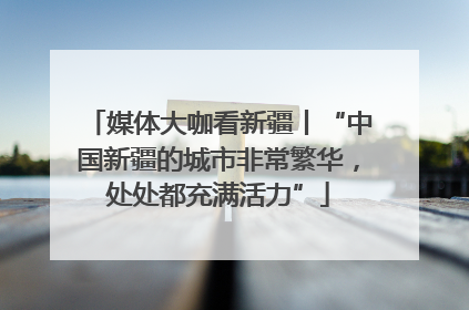 媒体大咖看新疆丨“中国新疆的城市非常繁华，处处都充满活力”