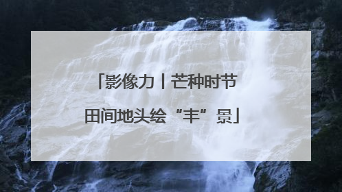 影像力丨芒种时节 田间地头绘“丰”景