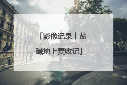 影像记录丨盐碱地上麦收记