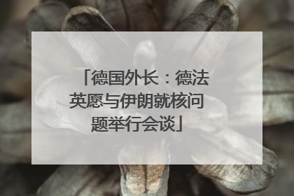 德国外长：德法英愿与伊朗就核问题举行会谈