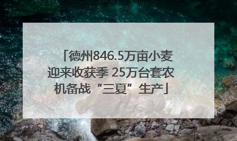 德州846.5万亩小麦迎来收获季 25万台套农机备战“三夏”生产
