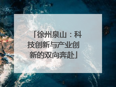 徐州泉山：科技创新与产业创新的双向奔赴