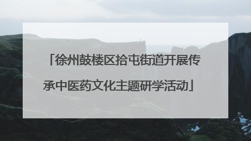 徐州鼓楼区拾屯街道开展传承中医药文化主题研学活动