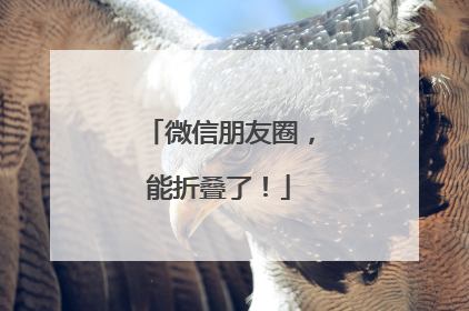 微信朋友圈，能折叠了！