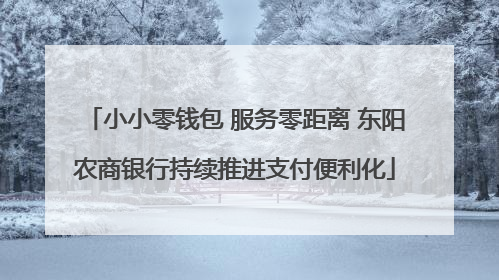 小小零钱包 服务零距离 东阳农商银行持续推进支付便利化
