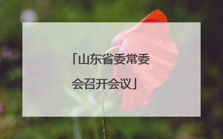 山东省委常委会召开会议