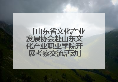 山东省文化产业发展协会赴山东文化产业职业学院开展考察交流活动