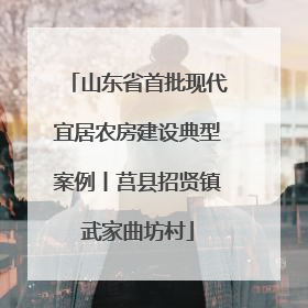 山东省首批现代宜居农房建设典型案例丨莒县招贤镇武家曲坊村