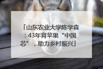 山东农业大学陈学森：43年育苹果“中国芯”，助力乡村振兴