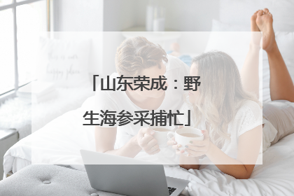 山东荣成：野生海参采捕忙