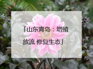 山东青岛：增殖放流 修复生态