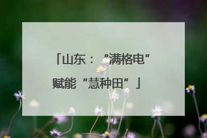 山东：“满格电”赋能“慧种田”