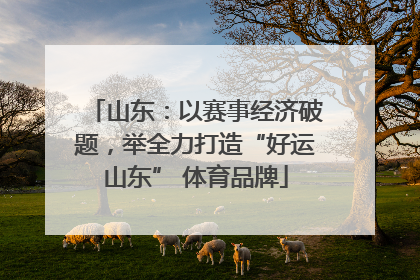 山东：以赛事经济破题，举全力打造“好运山东” 体育品牌