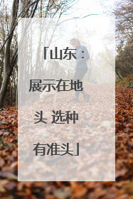 山东：展示在地头 选种有准头