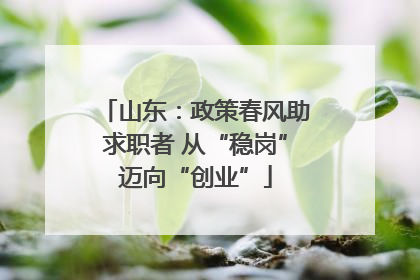 山东：政策春风助求职者 从“稳岗”迈向“创业”