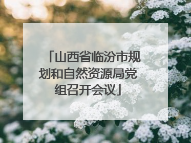 山西省临汾市规划和自然资源局党组召开会议