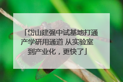 岱山建强中试基地打通产学研用通道 从实验室到产业化，更快了