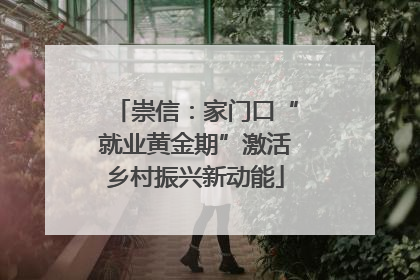 崇信：家门口“就业黄金期”激活乡村振兴新动能