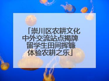 崇川区农耕文化中外交流站点揭牌 留学生田间挥镰体验农耕之乐