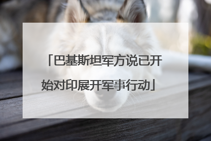 巴基斯坦军方说已开始对印展开军事行动