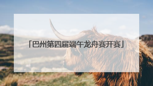 巴州第四届端午龙舟赛开赛