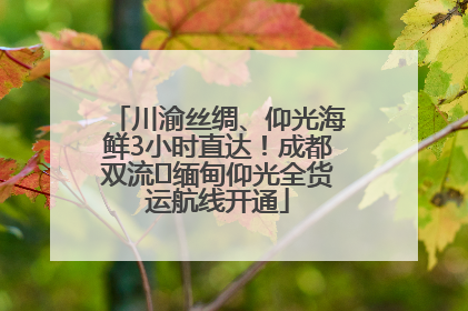 川渝丝绸、仰光海鲜3小时直达！成都双流⇌缅甸仰光全货运航线开通