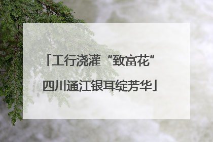 工行浇灌“致富花” 四川通江银耳绽芳华