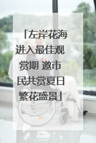 左岸花海进入最佳观赏期 邀市民共赏夏日繁花盛景